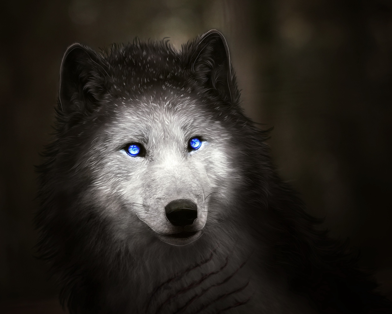 Фантастический белый волк с голубыми глазами