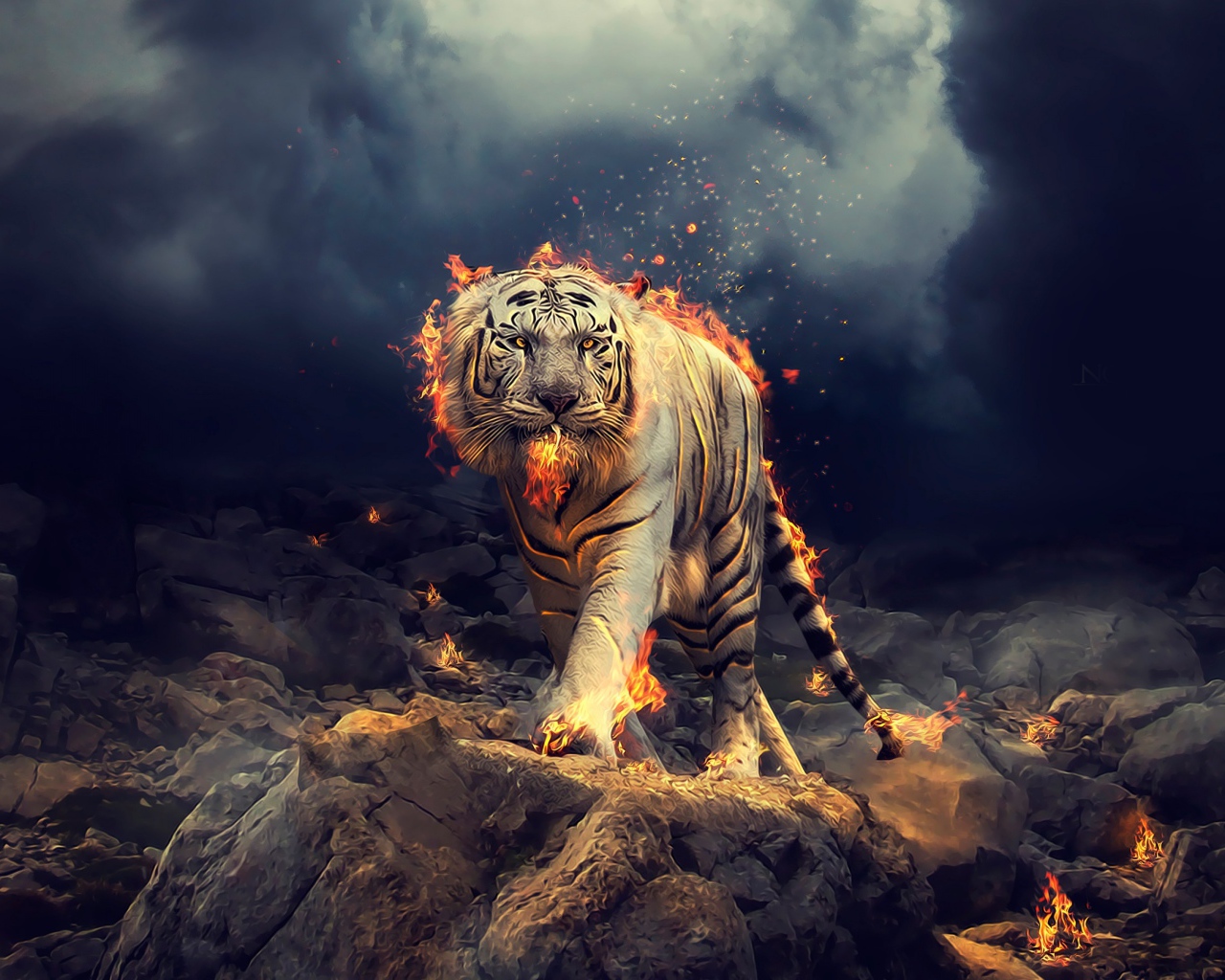 Огненный тигр идет по камням