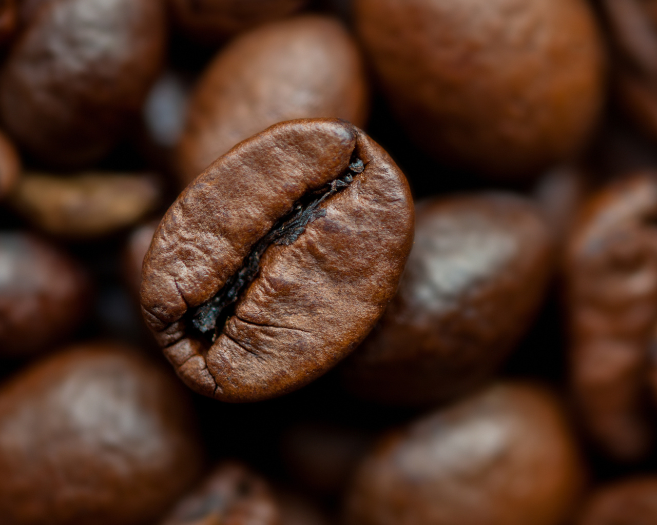 Кофейное зерно крупным планом