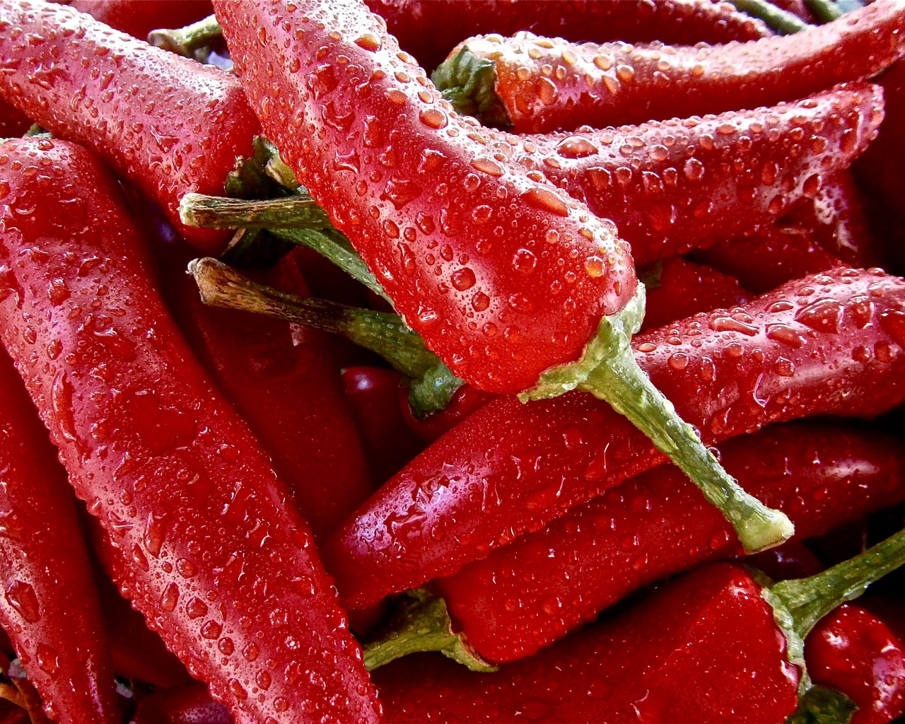 Красный перец чили в каплях воды крупным планом