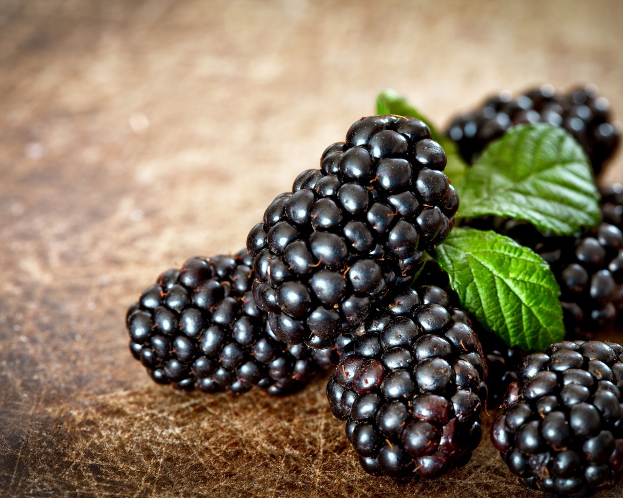 Аппетитные ягоды свежей ежевики