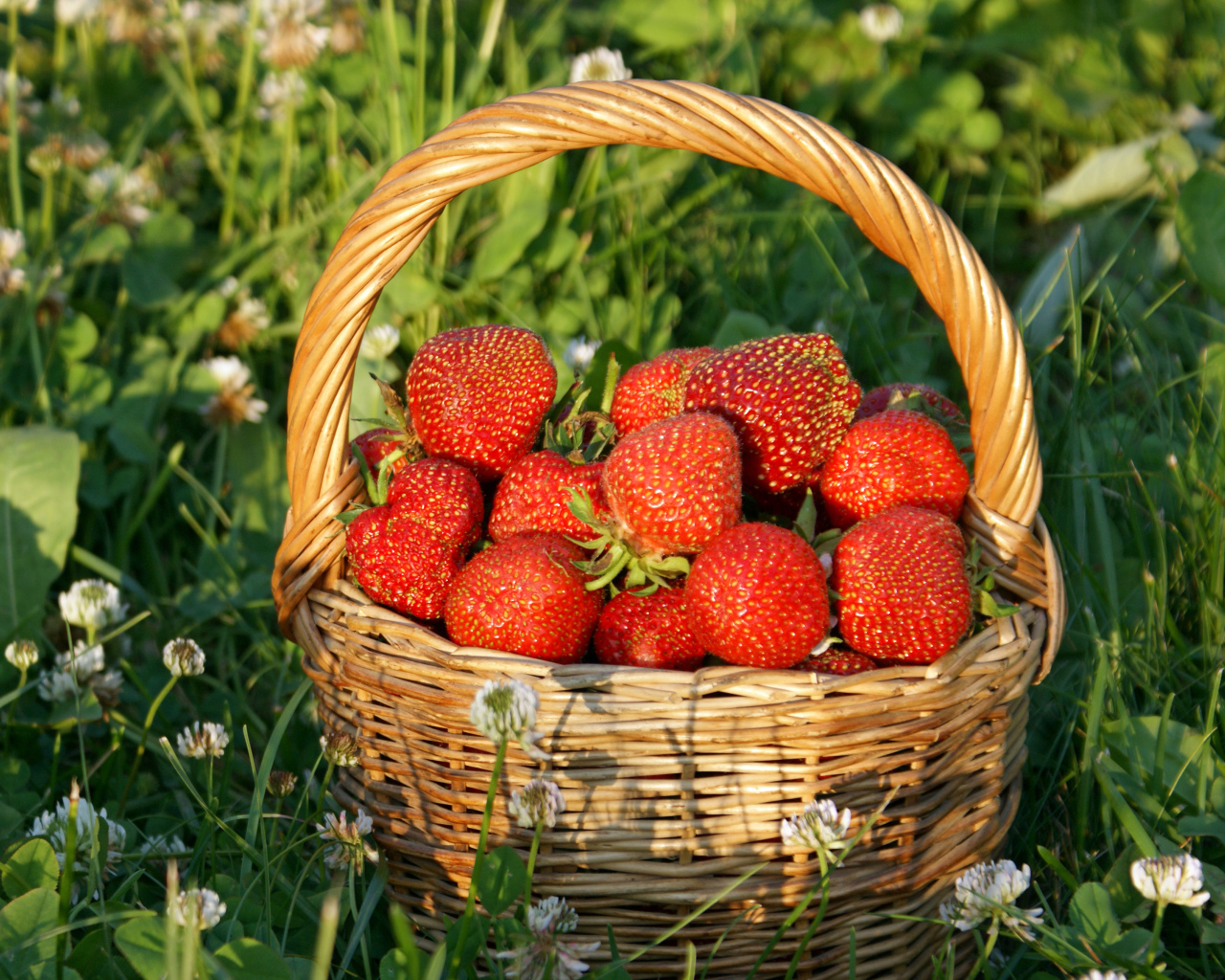 Корзина свежей клубники стоит на траве
