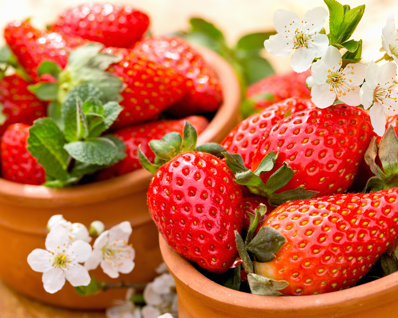 Красные ягоды спелой сочной клубники 