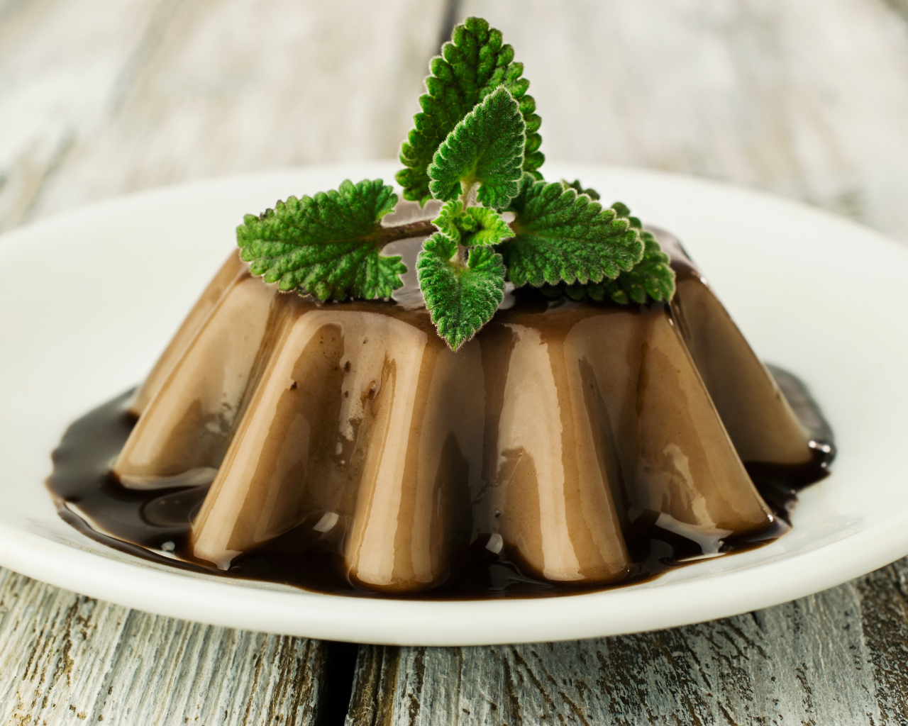 Десерт из желе на белой тарелке с шоколадом