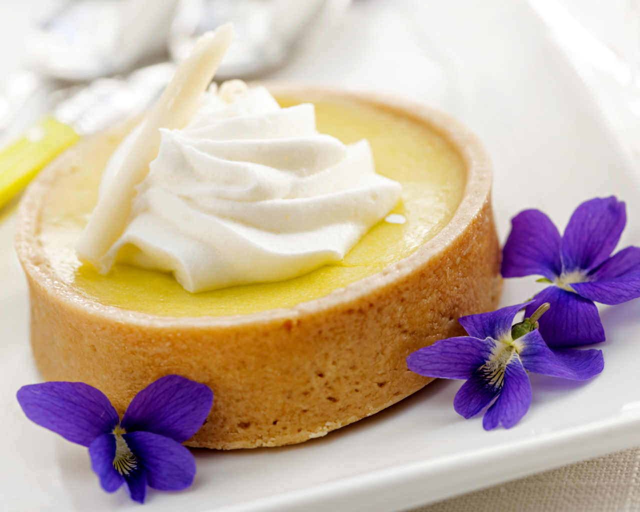 Десерт с кремом и фиолетовыми цветами на белой тарелке