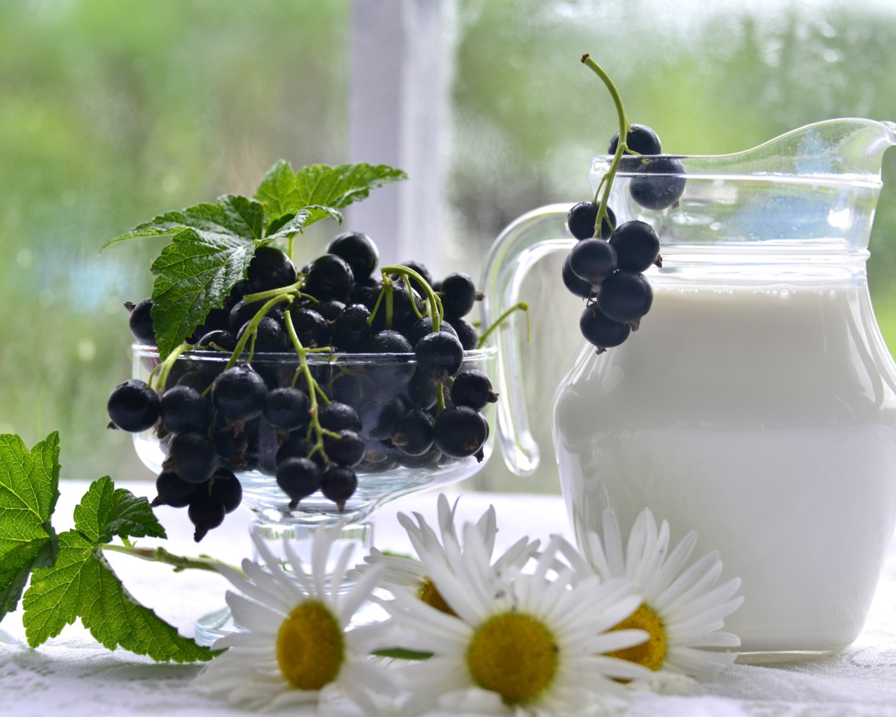 Молоко в стеклянном кувшине на столе со смородиной и ромашками 