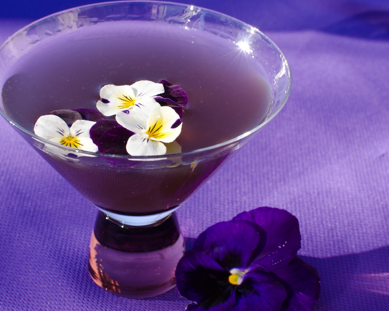 Фиолетовый коктейль Сангрия с текилой и цветами фиалки