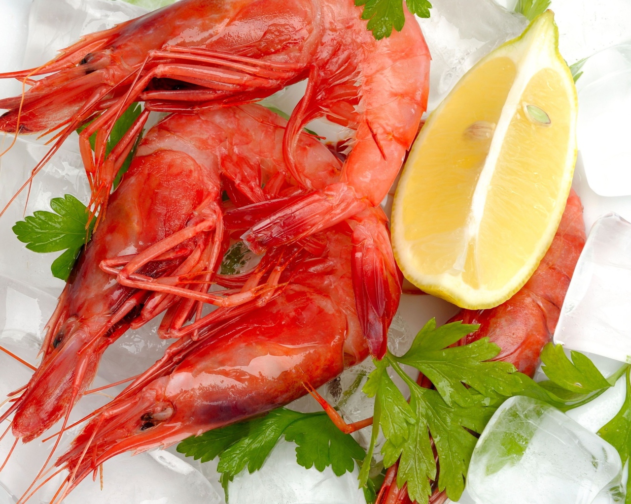 Вареные креветки с лимоном и кусочками льда