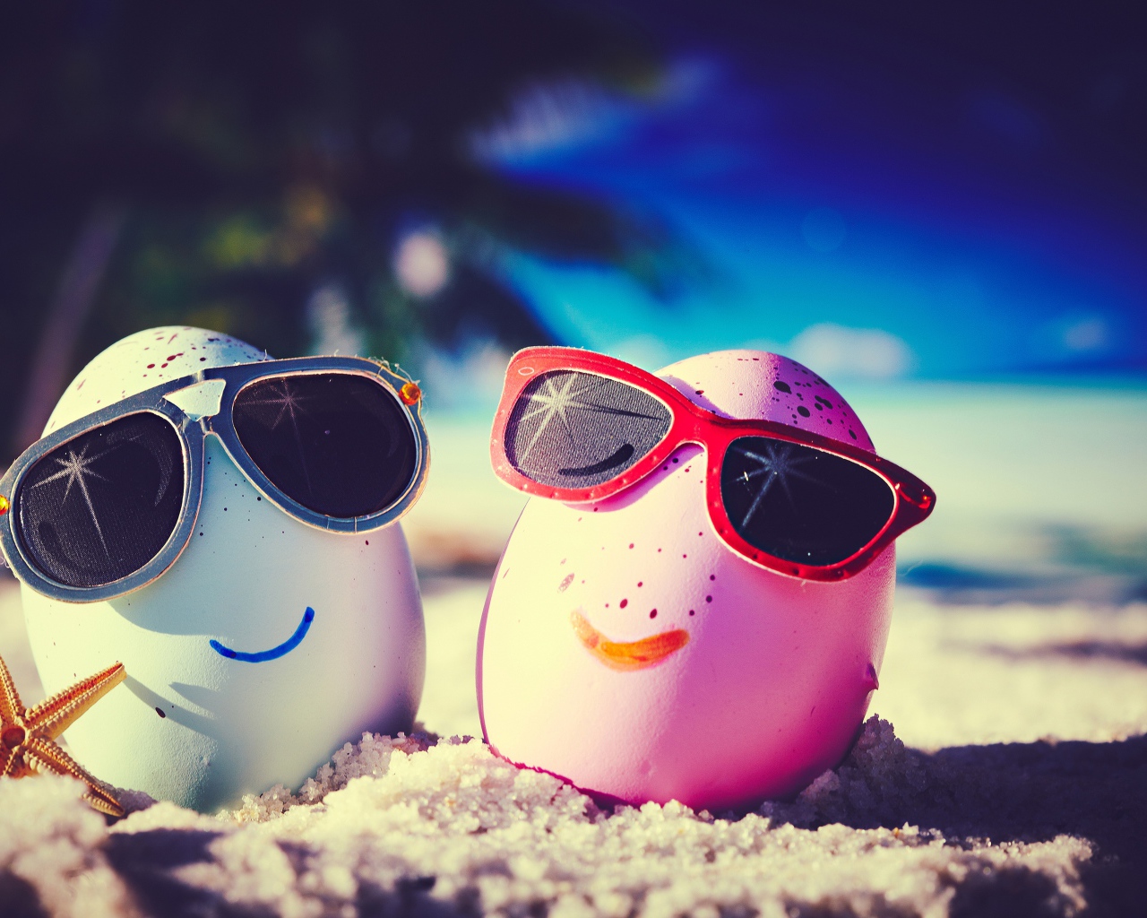 Два прикольных яйца в солнечных очках на пляже