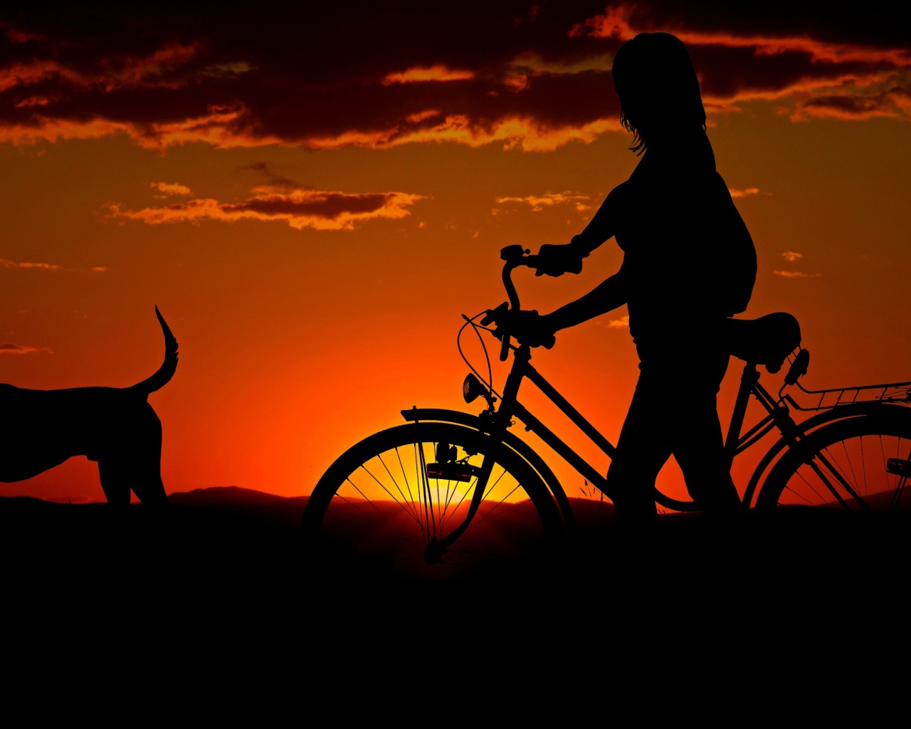 Девушка с велосипедом гуляет с собакой на закате солнца