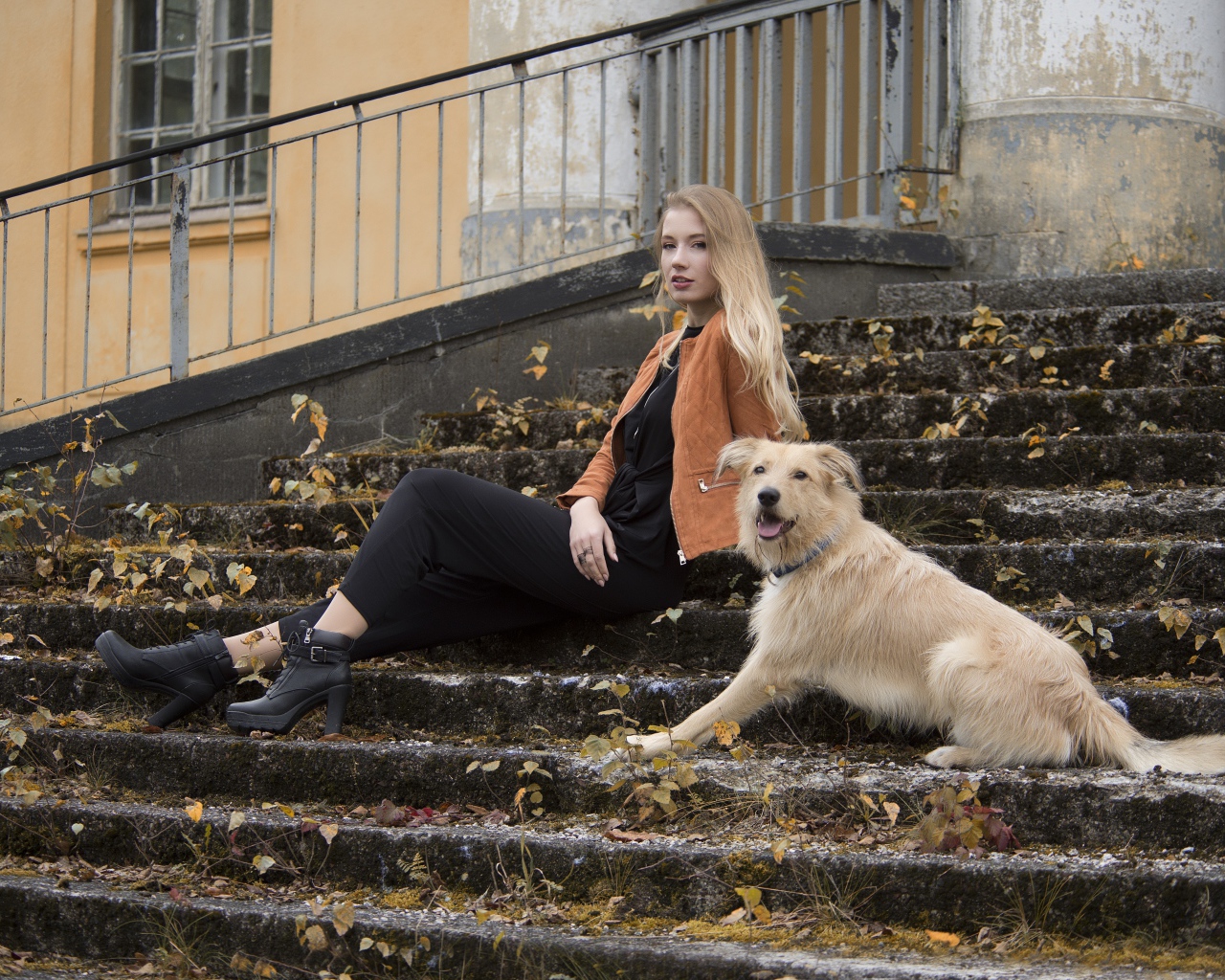 Молодая девушка сидит с собакой на старых ступеньках