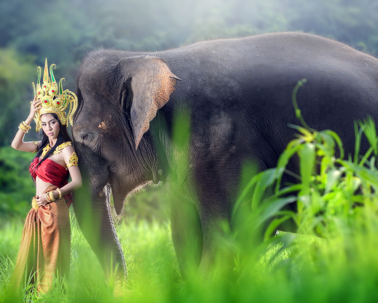 Девушка азиатка в красивом костюме с большим серым слоном