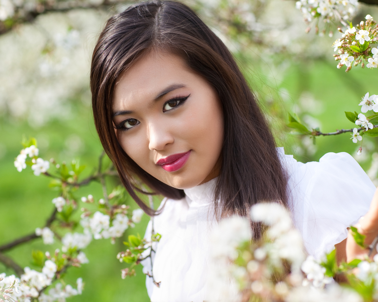 Красивая девушка азиатка в ветках цветущего дерева