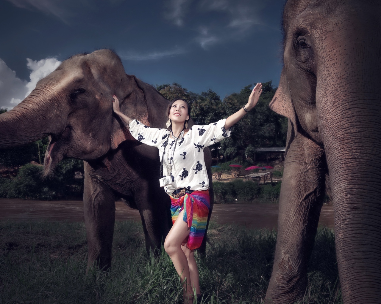 Красивая девушка азиатка с двумя большими слонами