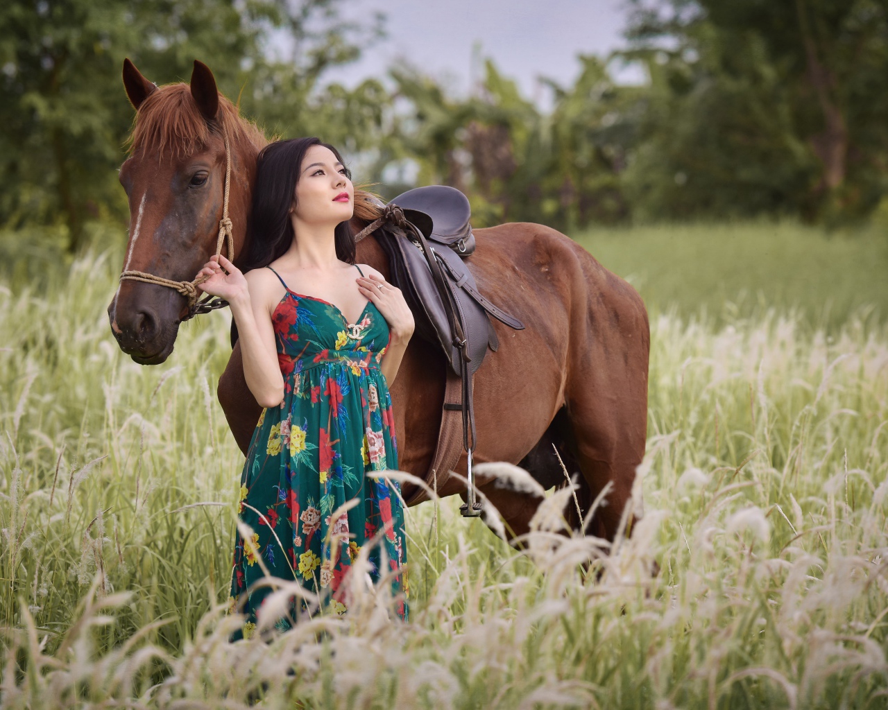 Красивая девушка азиатка с конем в поле