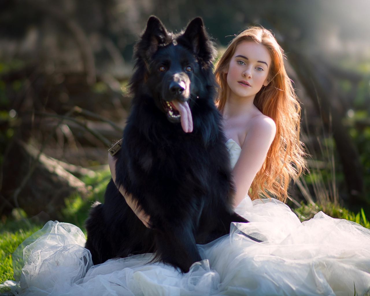 Красивая девушка невеста с большой черной собакой