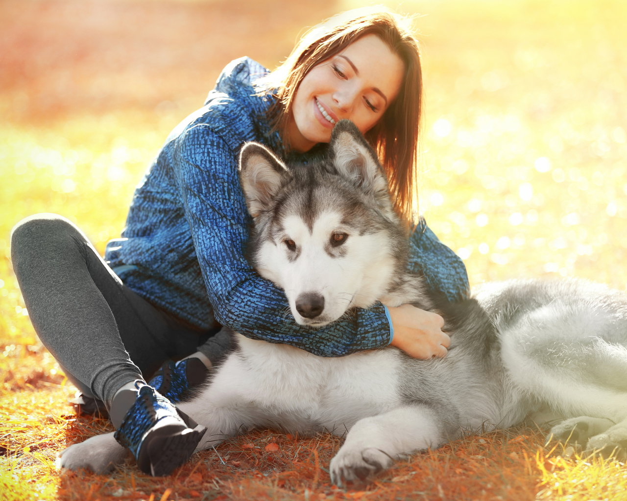 Красивая девушка брюнетка сидит на земле с собакой породы хаски