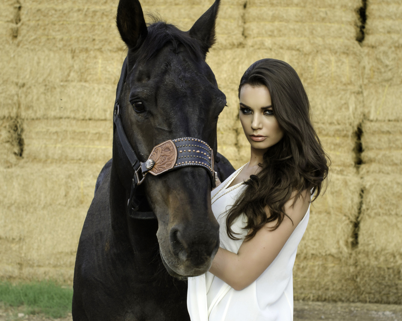 Красивая девушка брюнетка с черным конем 