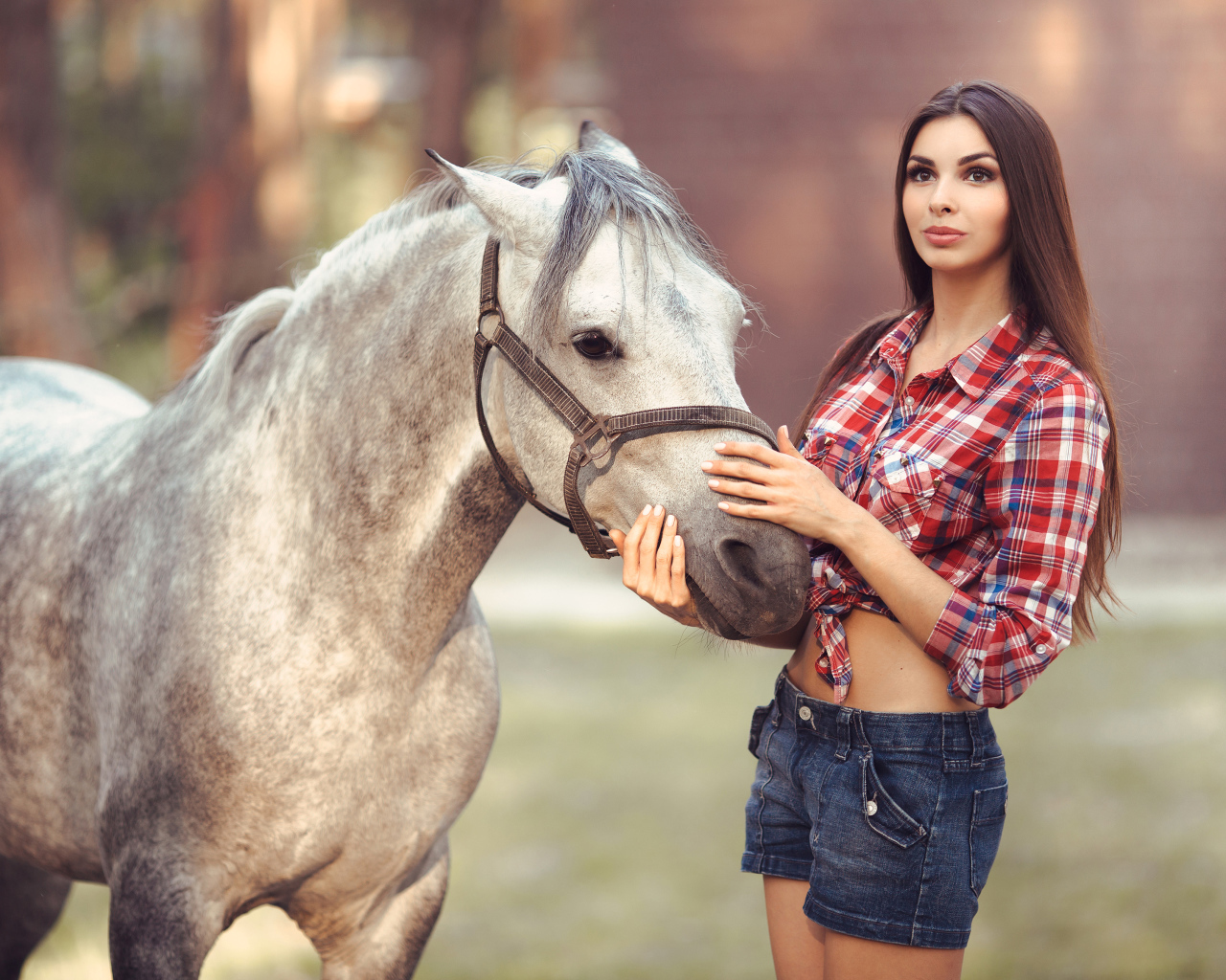 Красивая длинноволосая шатенка с лошадью