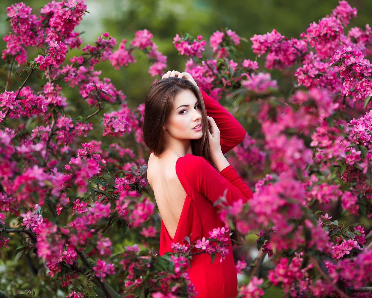 Красивая молодая девушка в красном платье на фоне розовых цветов