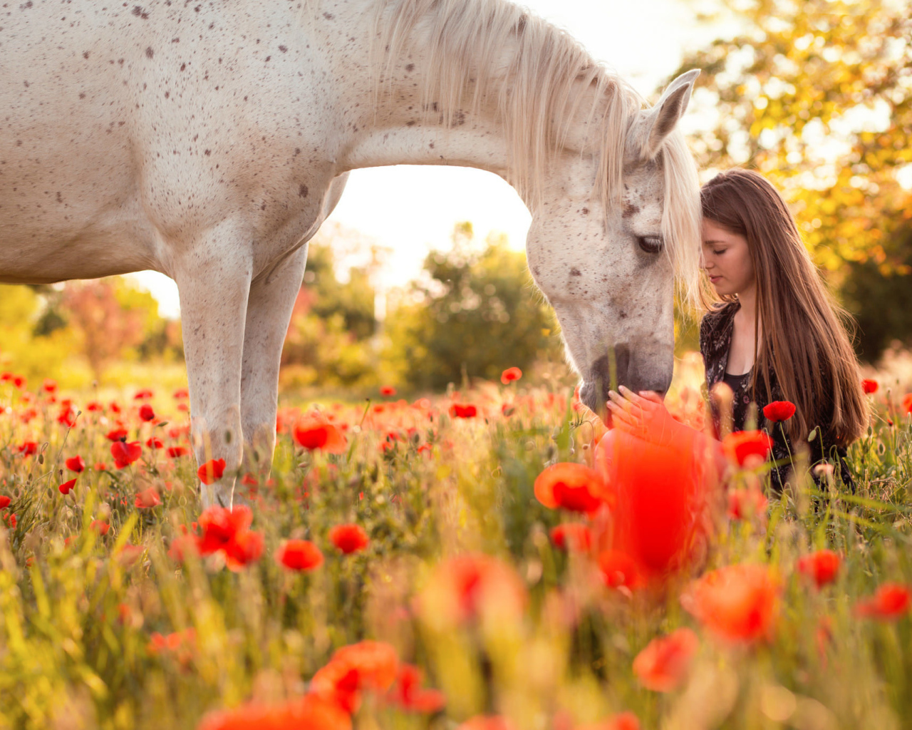 Красивая молодая девушка с лошадью на поле покрытом красными маками