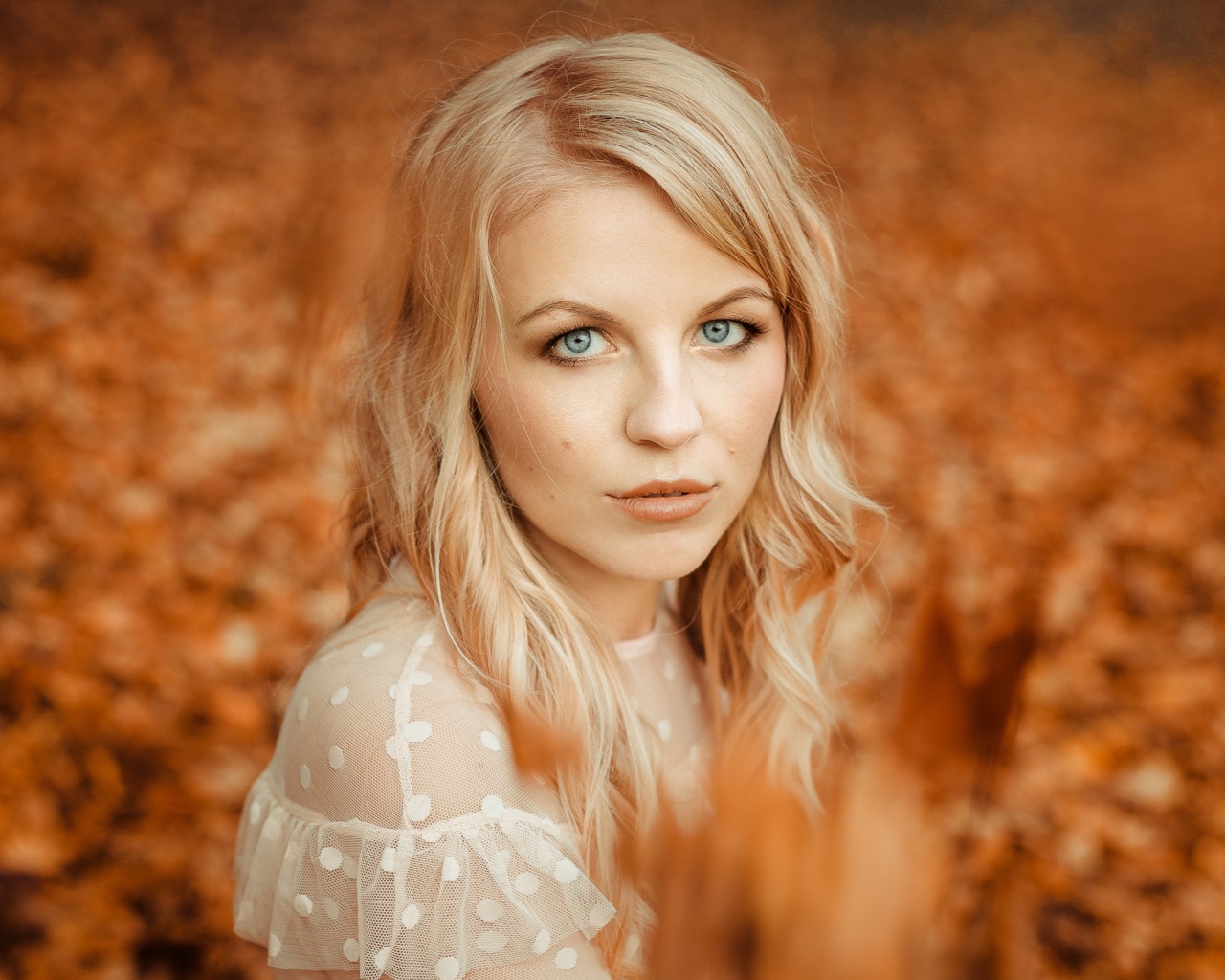 Голубоглазая девушка блондинка на фоне желтой листвы