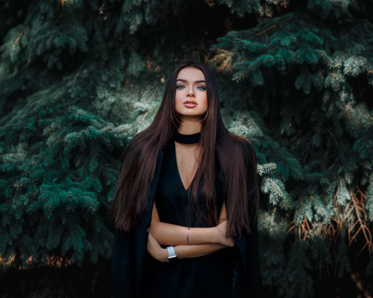 Голубоглазая девушка брюнетка у большой зеленой ели 