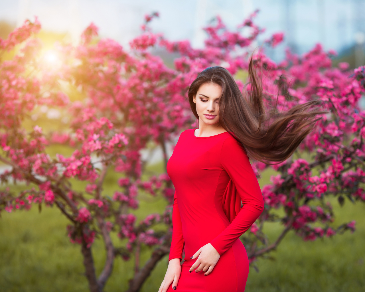 Милая шатенка в красном платье на фоне цветущего дерева