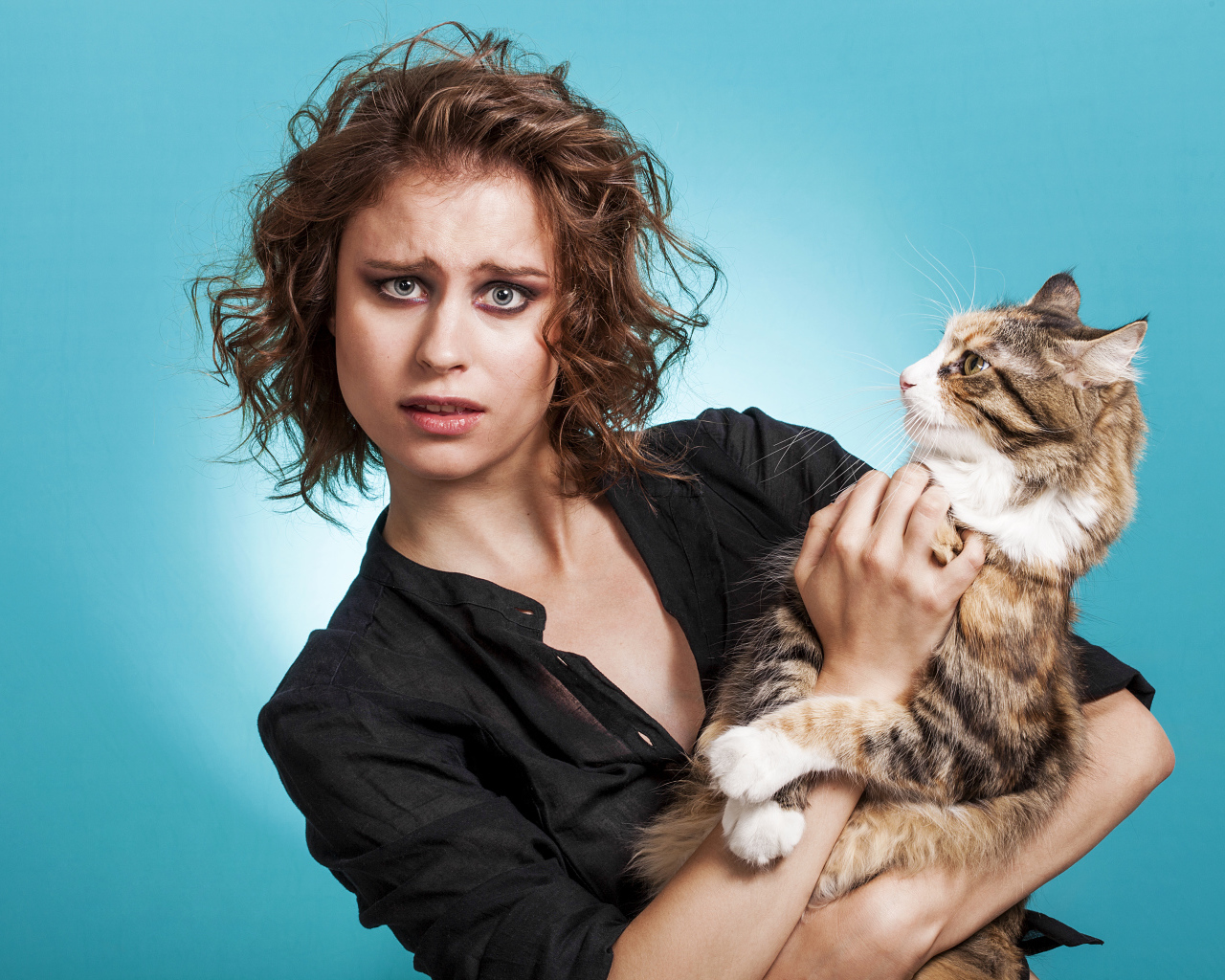 Молодая девушка шатенка с большим котом  на голубом фоне