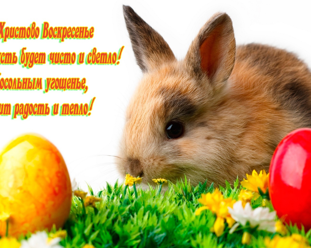Поздравление со Светлым Христовым Воскресением 