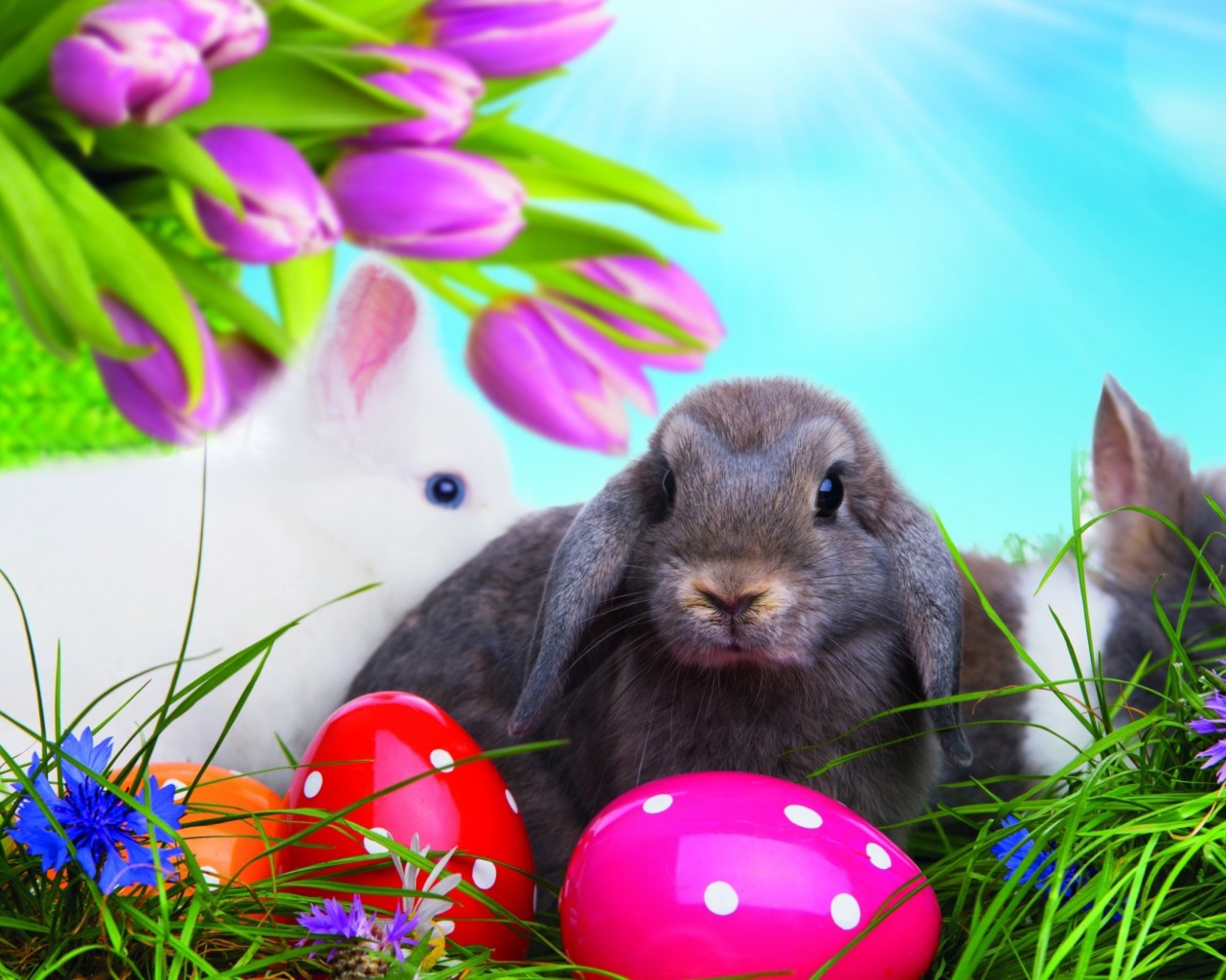 Разноцветные яйца и пасхальные кролики 
