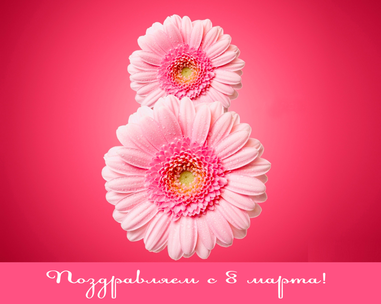 Восьмерка из гербер на 8 Марта