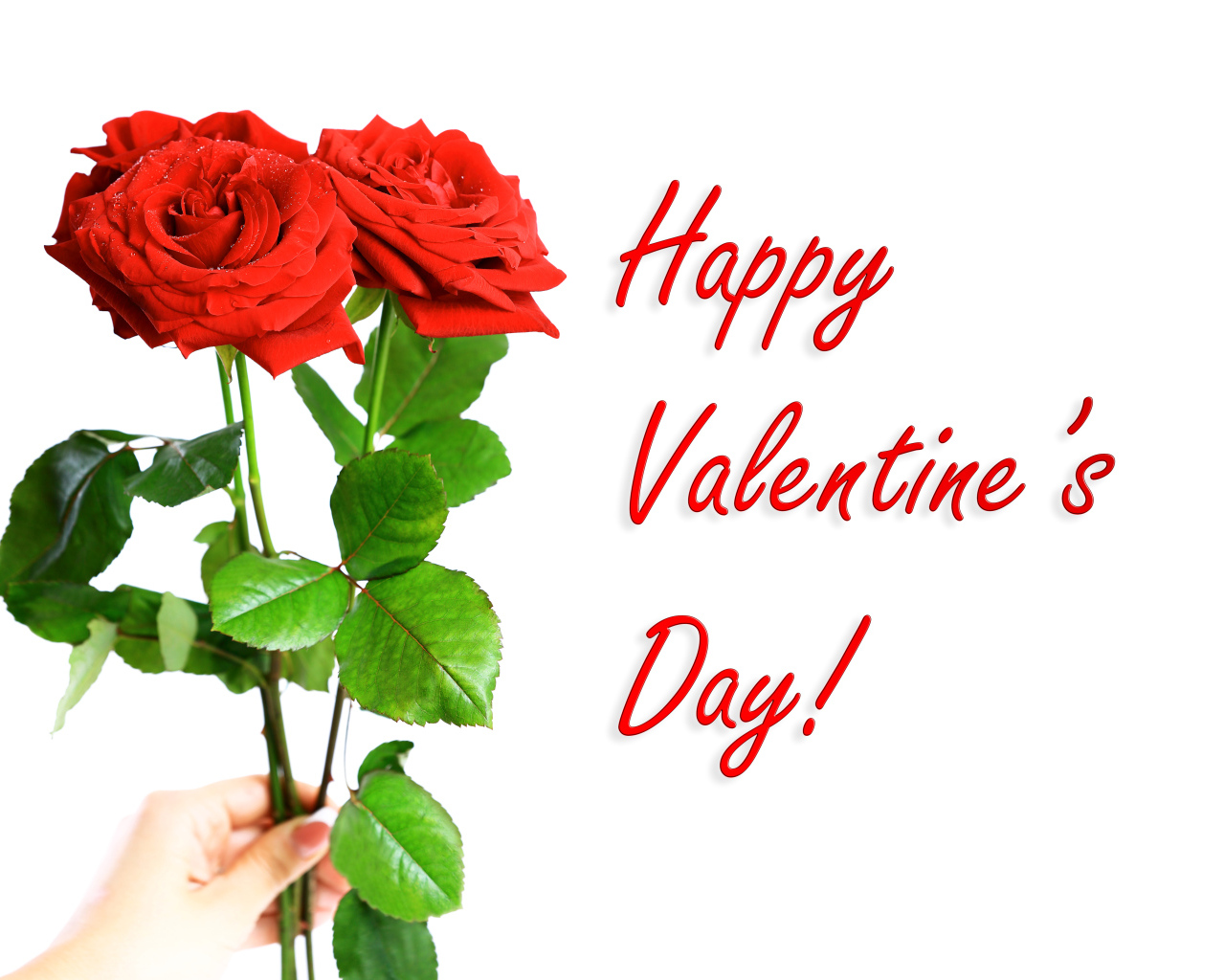 Три красных розы на День Святого Валентина, 14 февраля