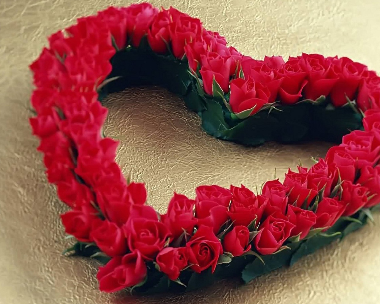 Большое сердце из красных роз 