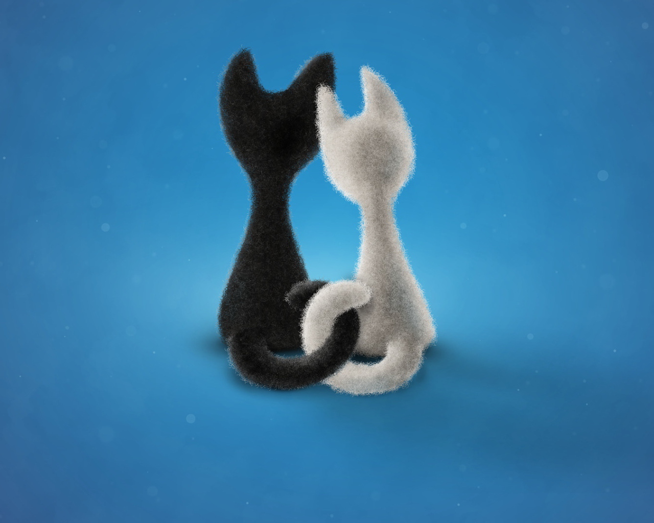 Влюбленные коты на синем фоне 