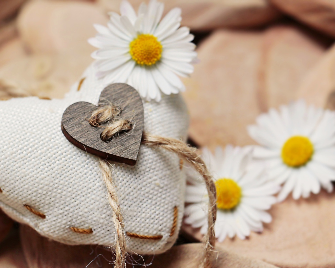 Сердце из ткани с белыми цветами ромашки