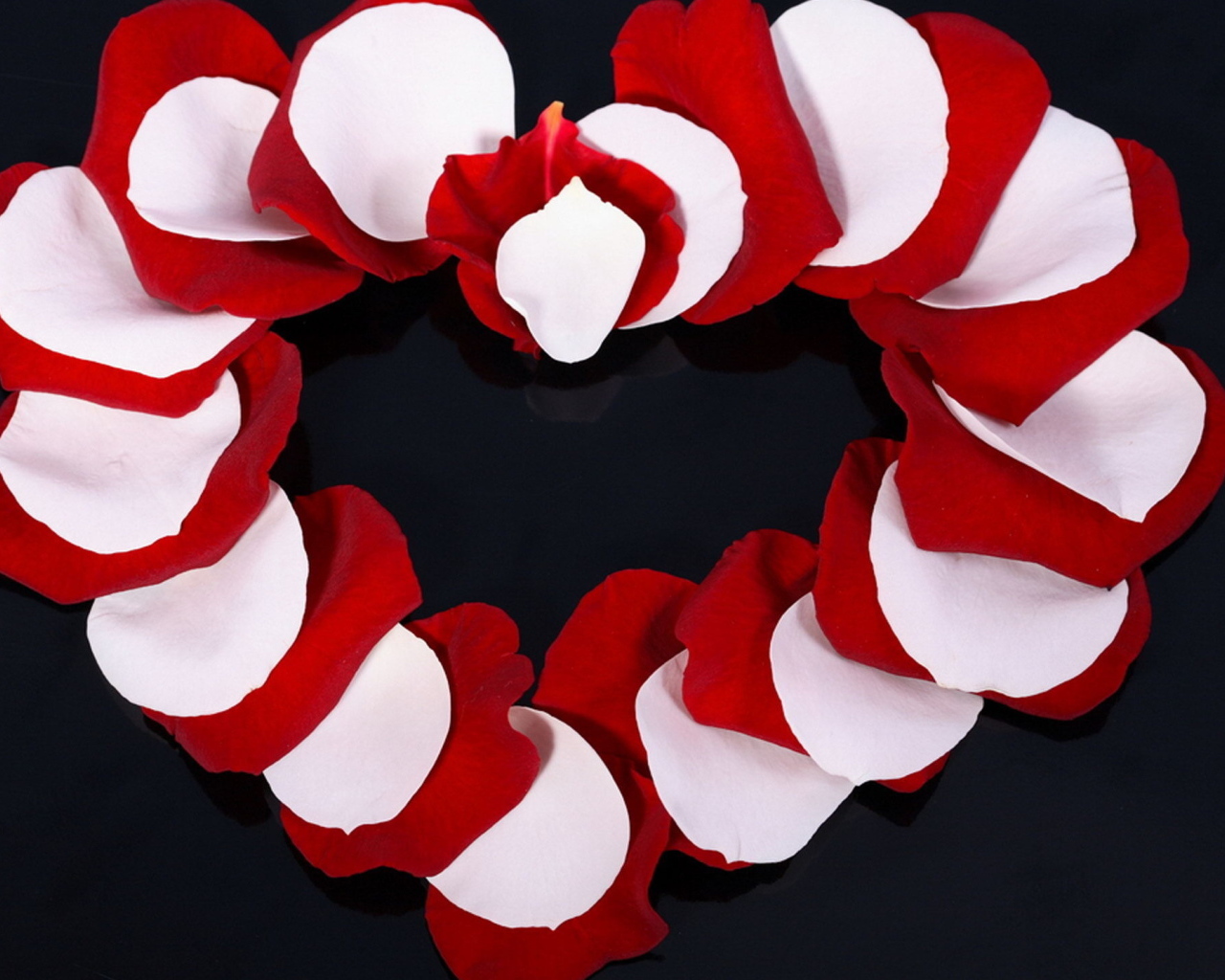 Сердце из лепестков розы 