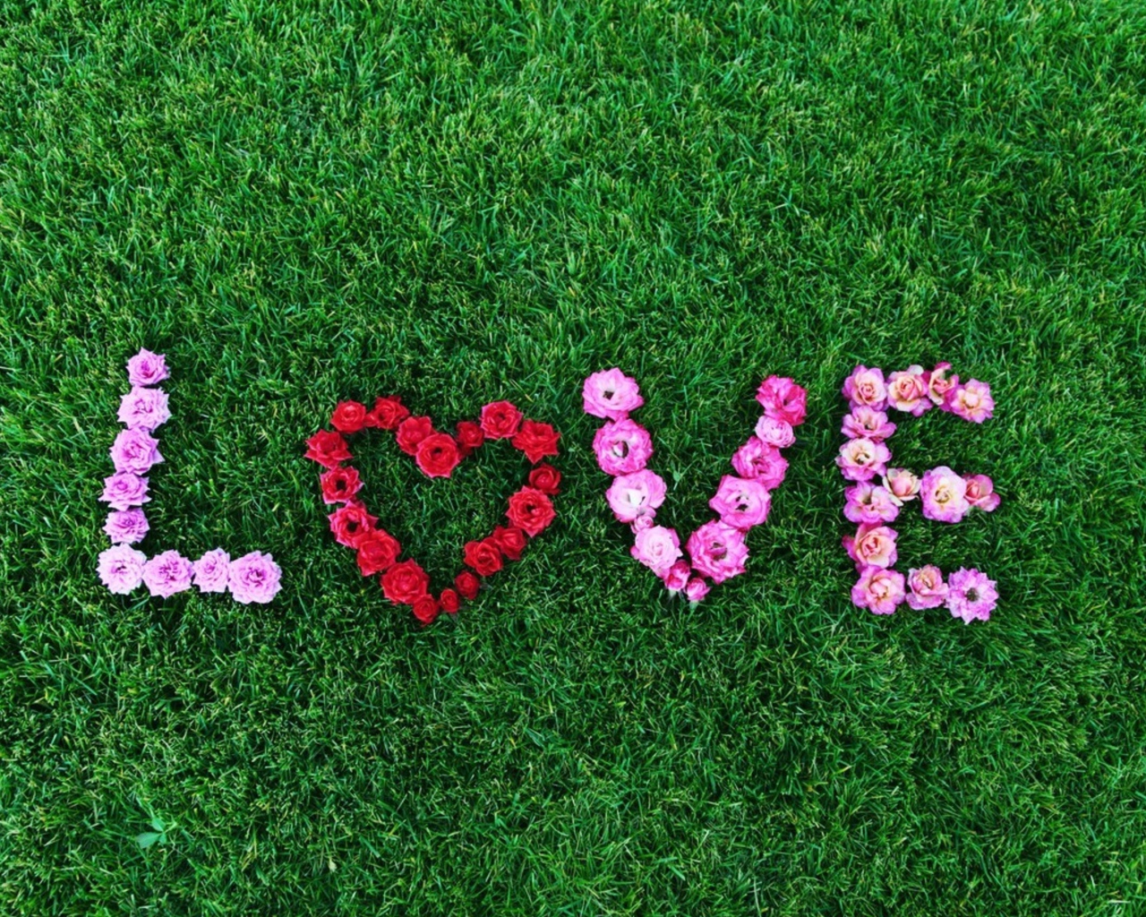Надпись Любовь выложена из роз на зеленой траве