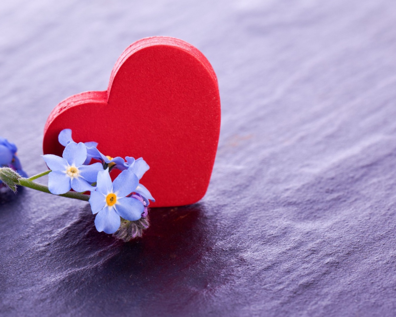 Красное сердце и нежные голубые цветы  