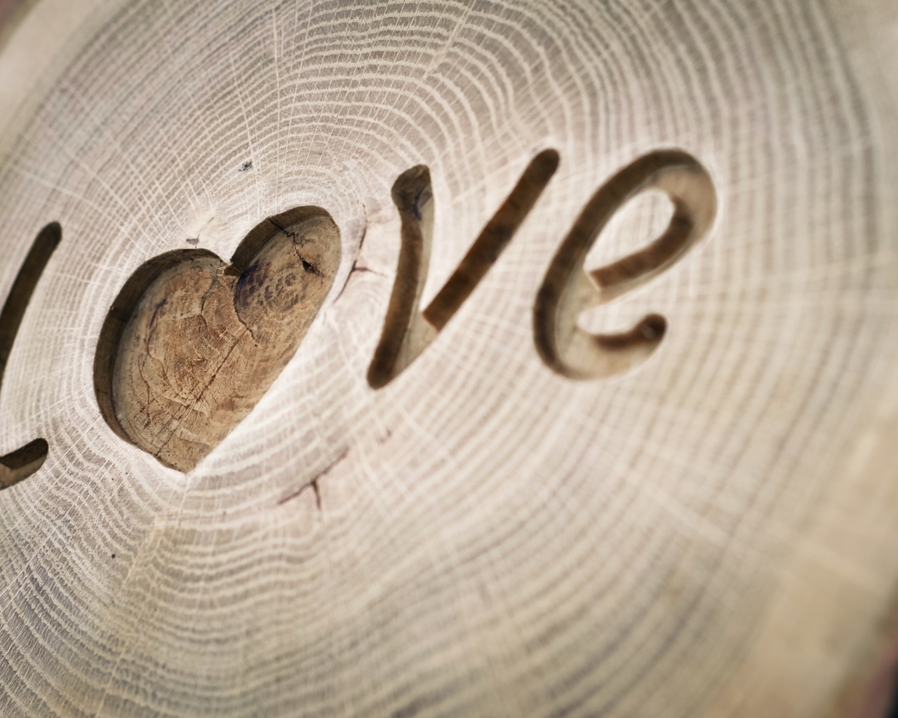 Надпись LOVE вырезана на дереве