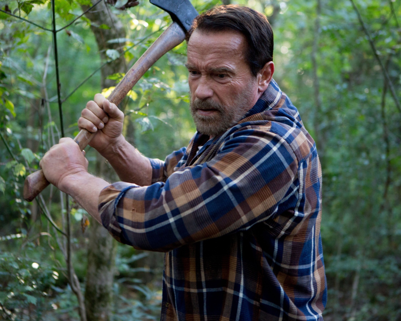 Актер Арнольд Шварценеггер в фильме Последствия, 2017 