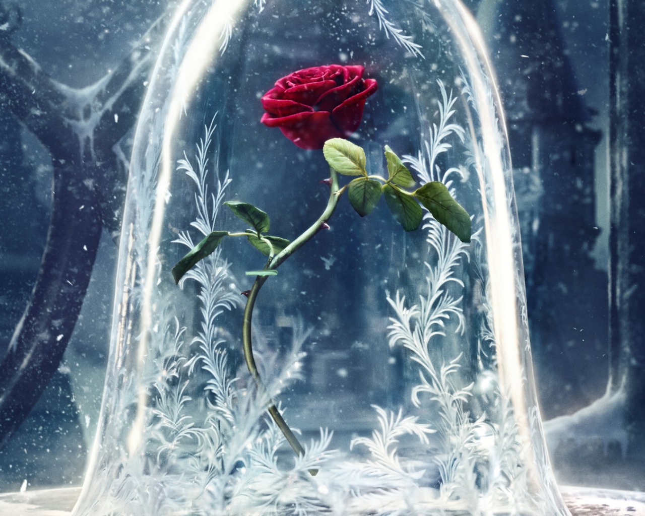 Алая роза фильм Красавица и чудовище 2017 