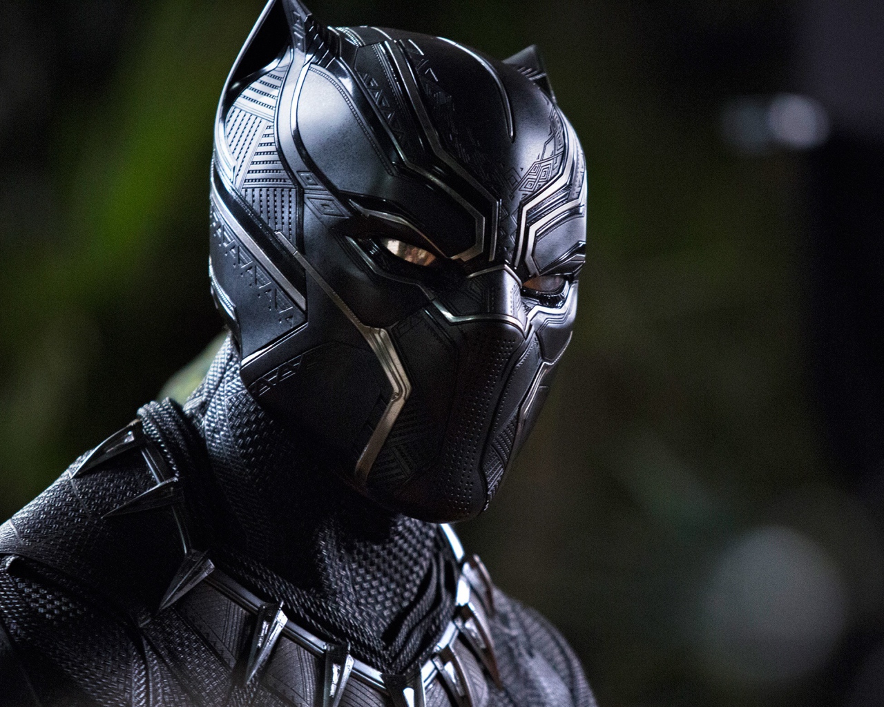 Главный персонаж нового фантастического фильма Черная пантера, 2018