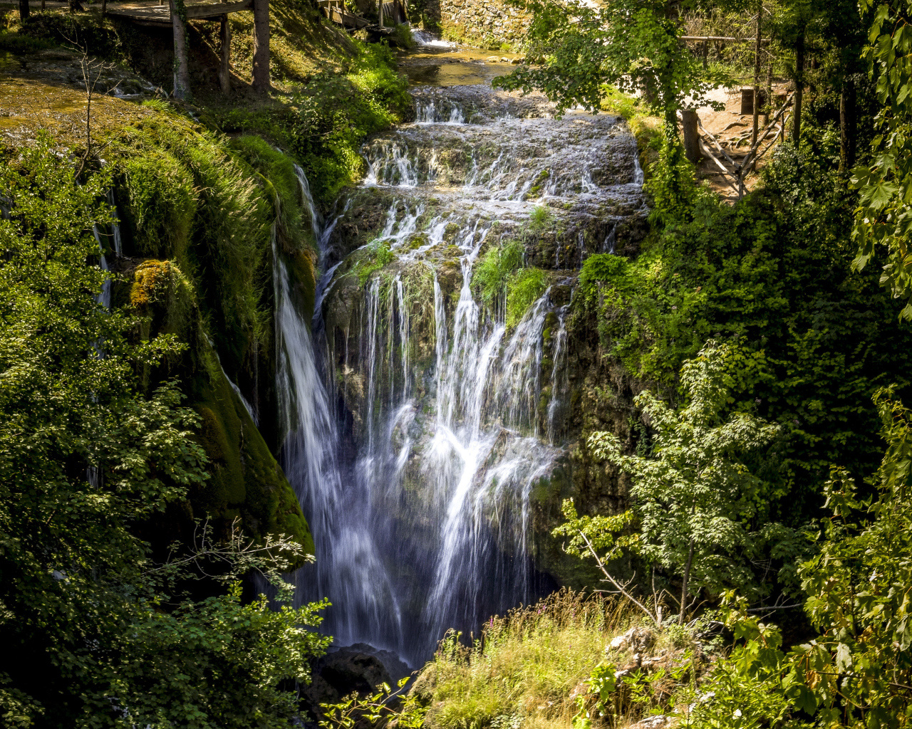 Красивый водопад стекает с утеса в лесу у покрытых зеленью деревьев
