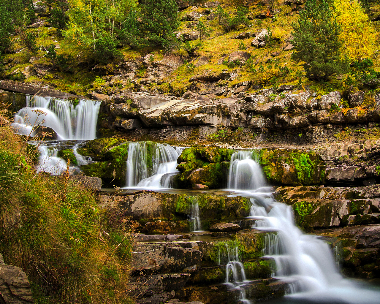 Быстрый ручей стекает по скале в осеннем лесу