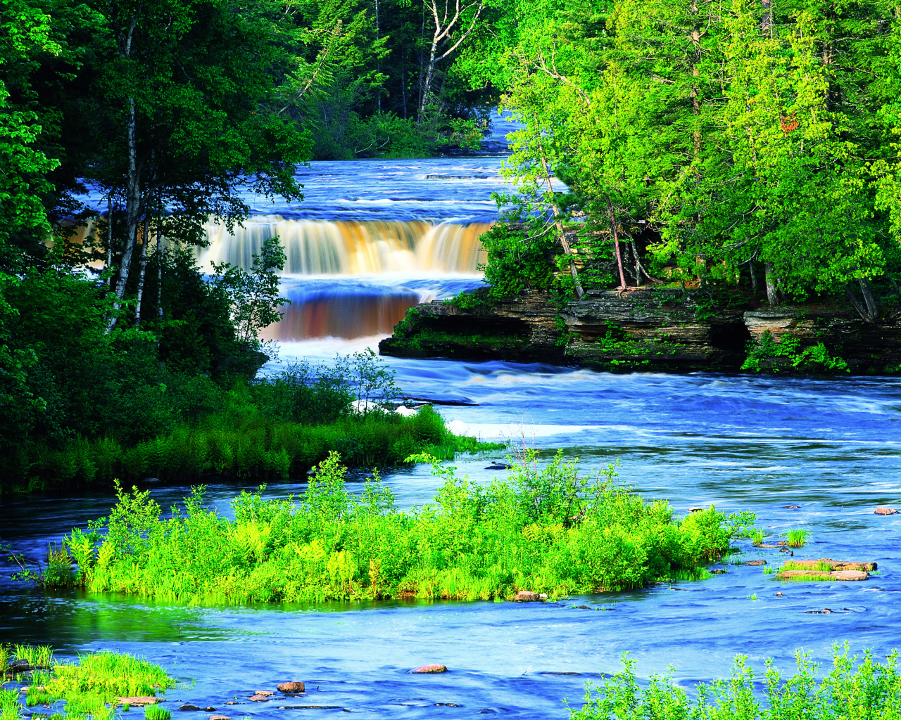 Живописная река с водопадом между зеленых деревьев 