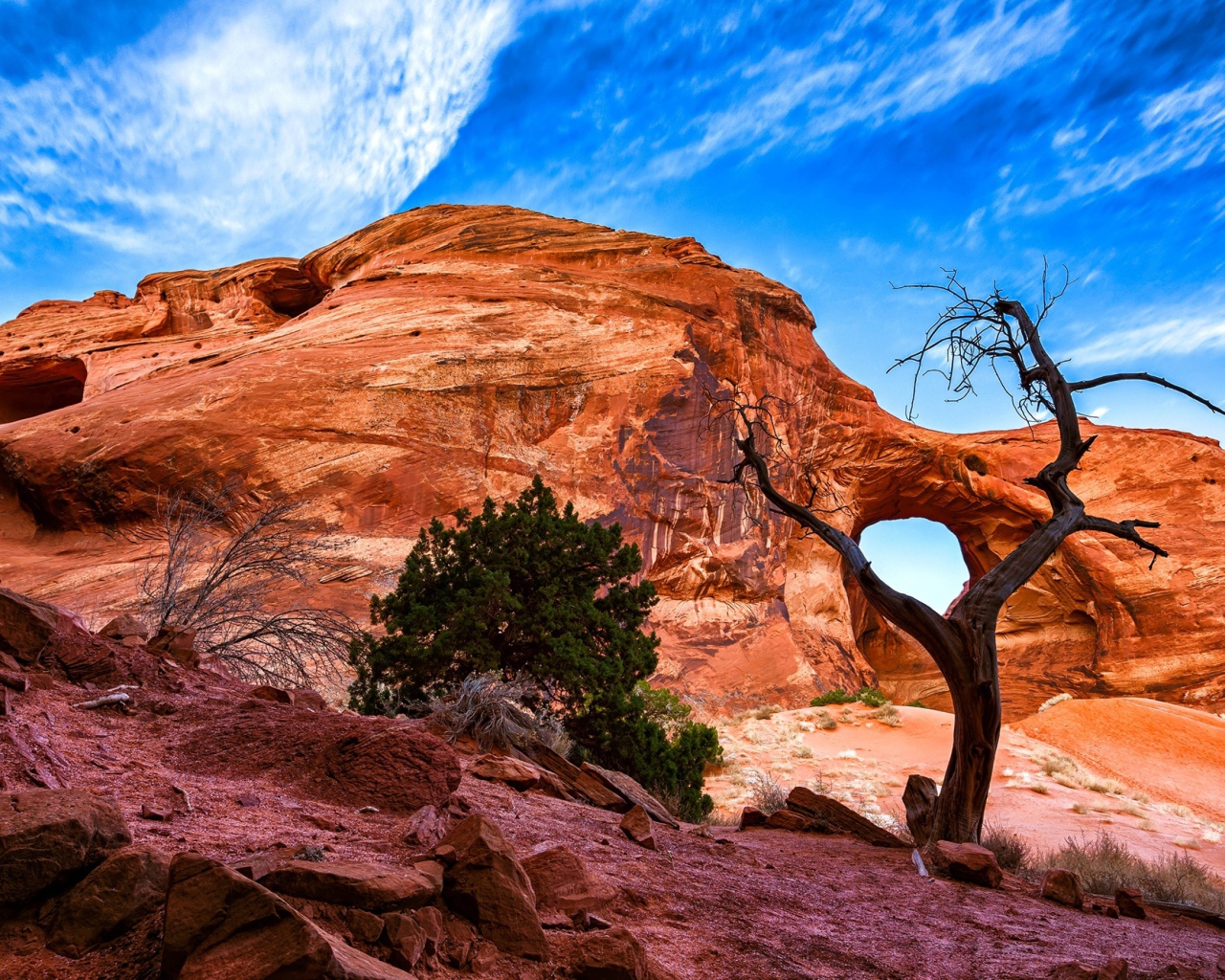 Каменный каньон под красивым голубым небом