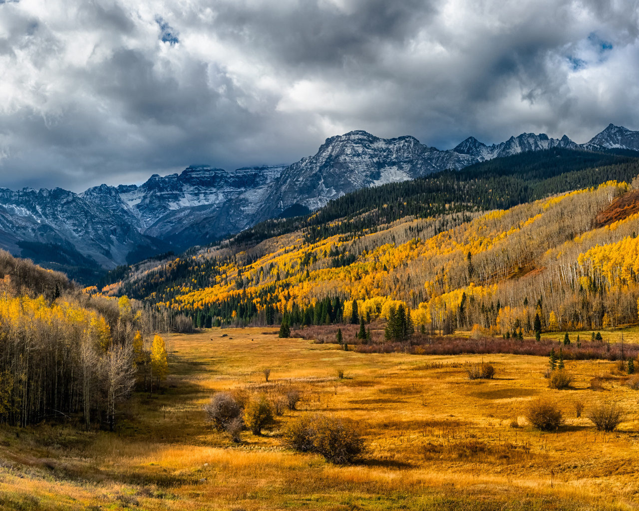 Осенний лес под большими белыми облаками в горах
