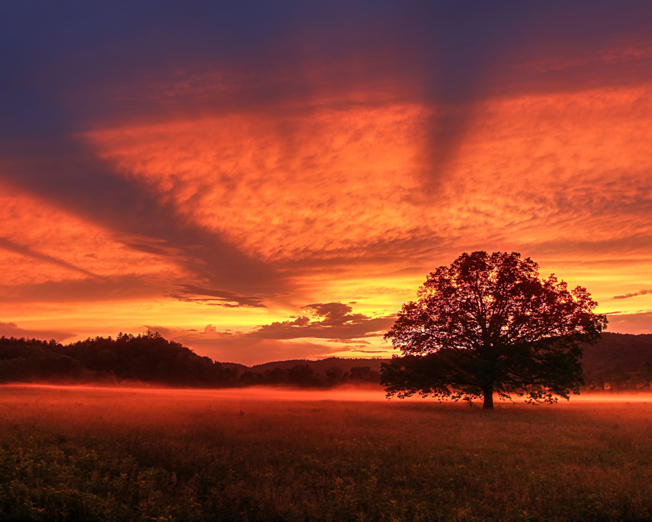 Красивое красное небо на закате  над полем