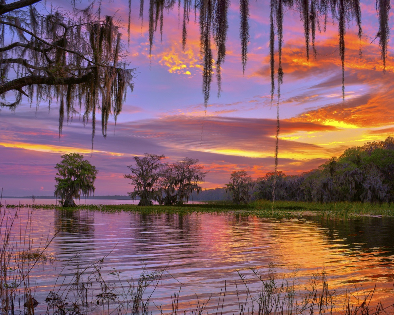 Красивое небо на закате над лесным озером